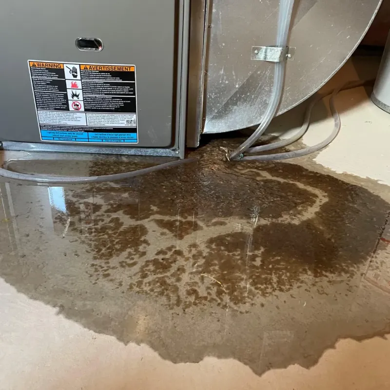 Appliance Leak Cleanup in Kurtistown, HI