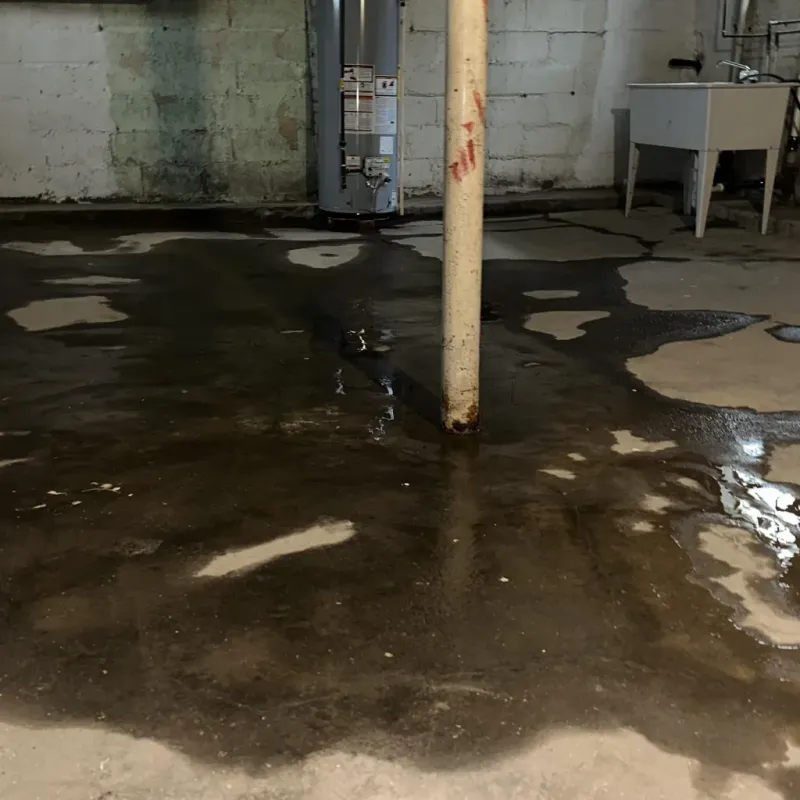 Emergency Water Extraction And Removal in Kurtistown, HI